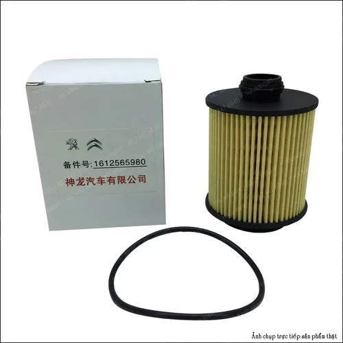 Lọc dầu nhớt động cơ 1612565980