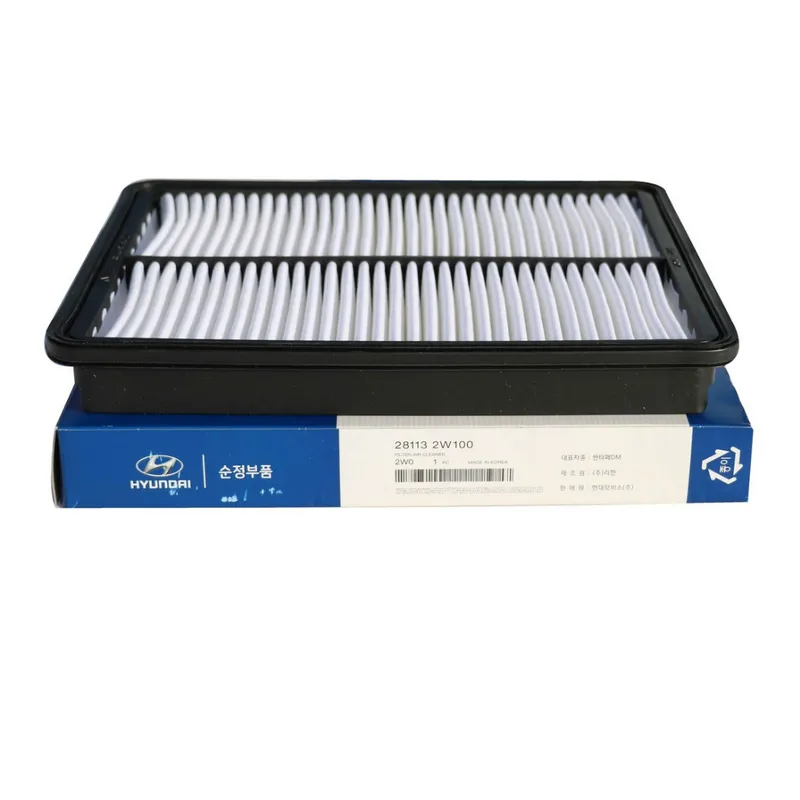 Lọc gió động cơ 28113-2W100