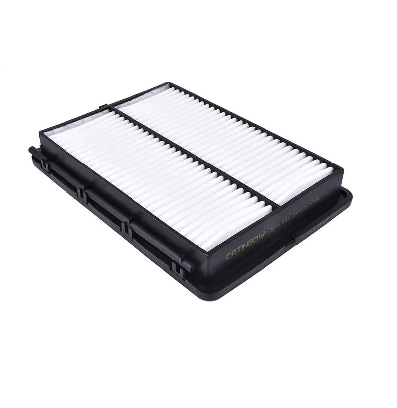 Lọc gió động cơ 28113-C1100