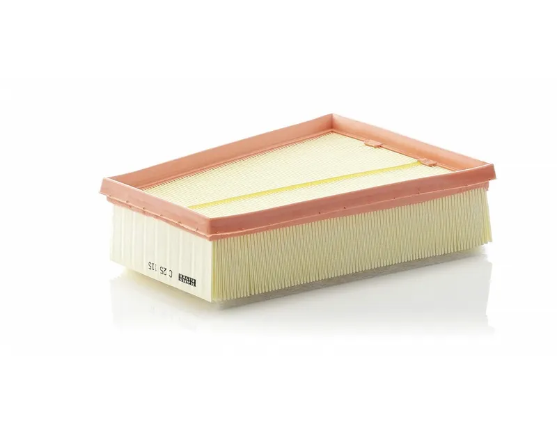 Lọc gió động cơ Mann C 25 115