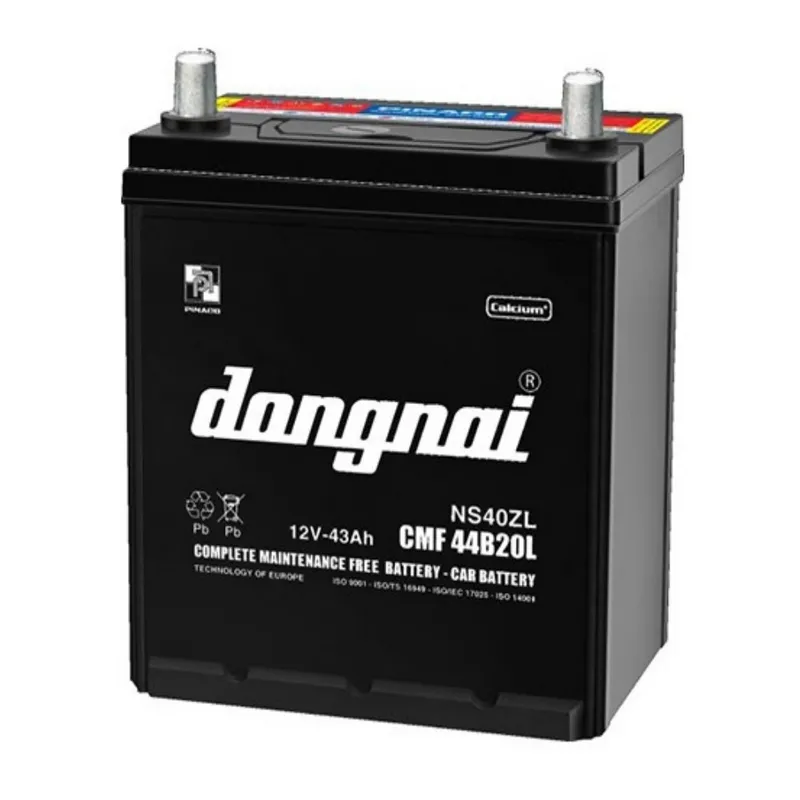 Ắc quy Đồng Nai Pinaco 12V 43AH CMF 44B20L