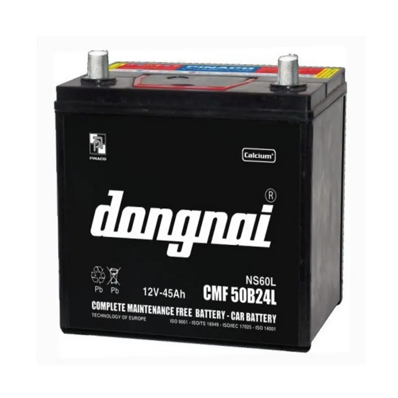 Ắc quy Đồng Nai Pinaco 12V 45AH CMF 50B24L
