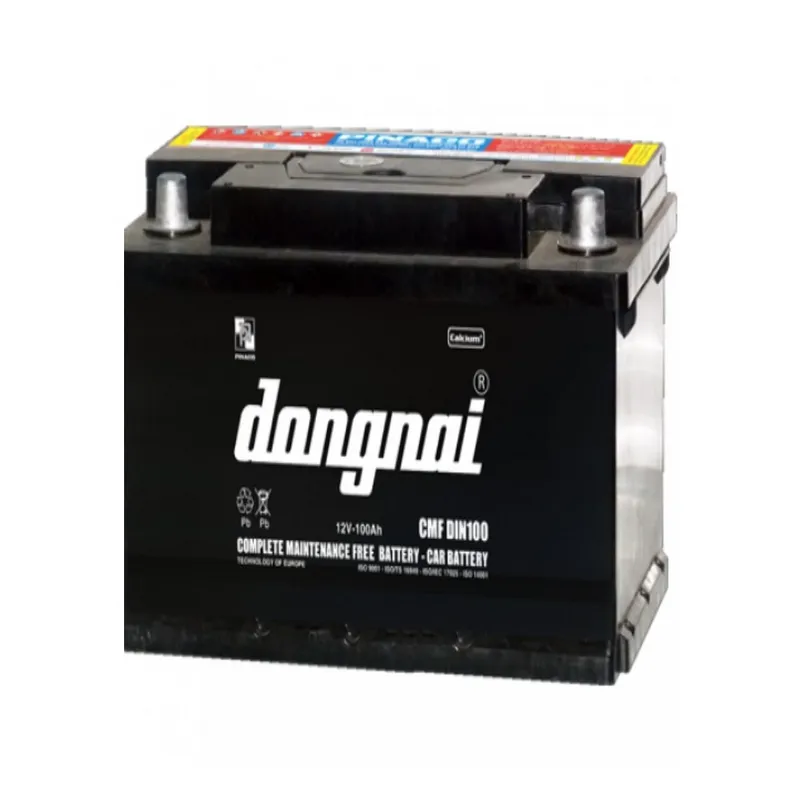 Ắc quy Đồng Nai Pinaco 12V 100AH CMF DIN100