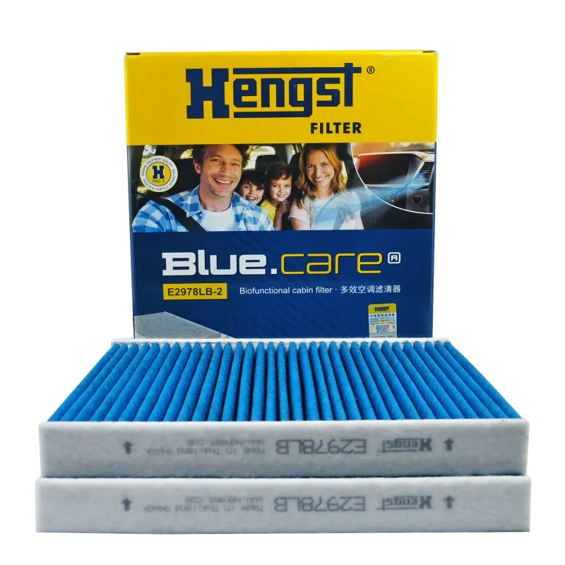 Lọc gió điều hòa sinh học Hengst E2978LB-2