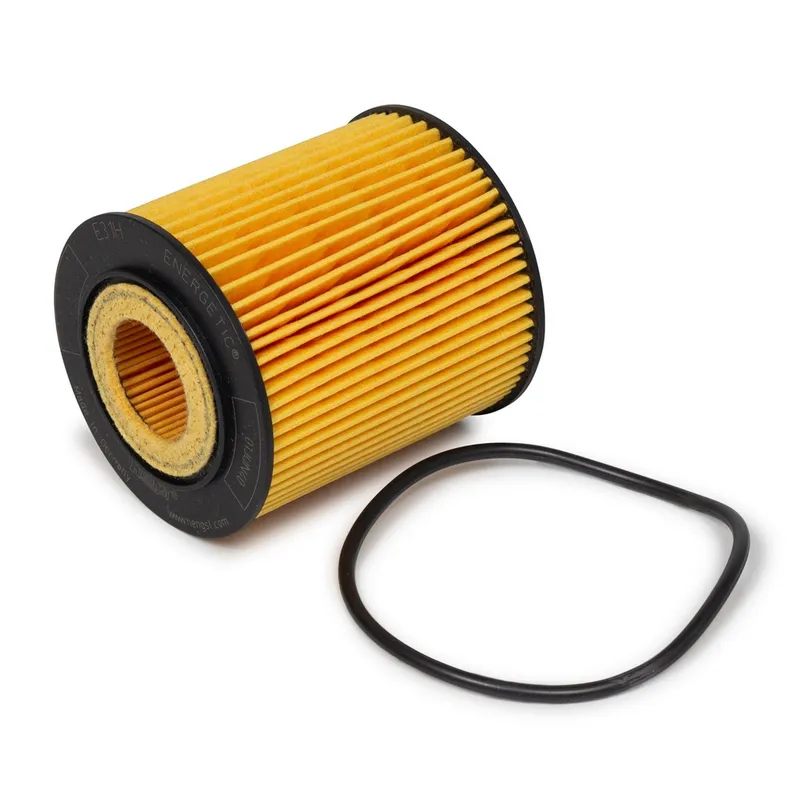 Lọc dầu nhớt Hengst E31HD93