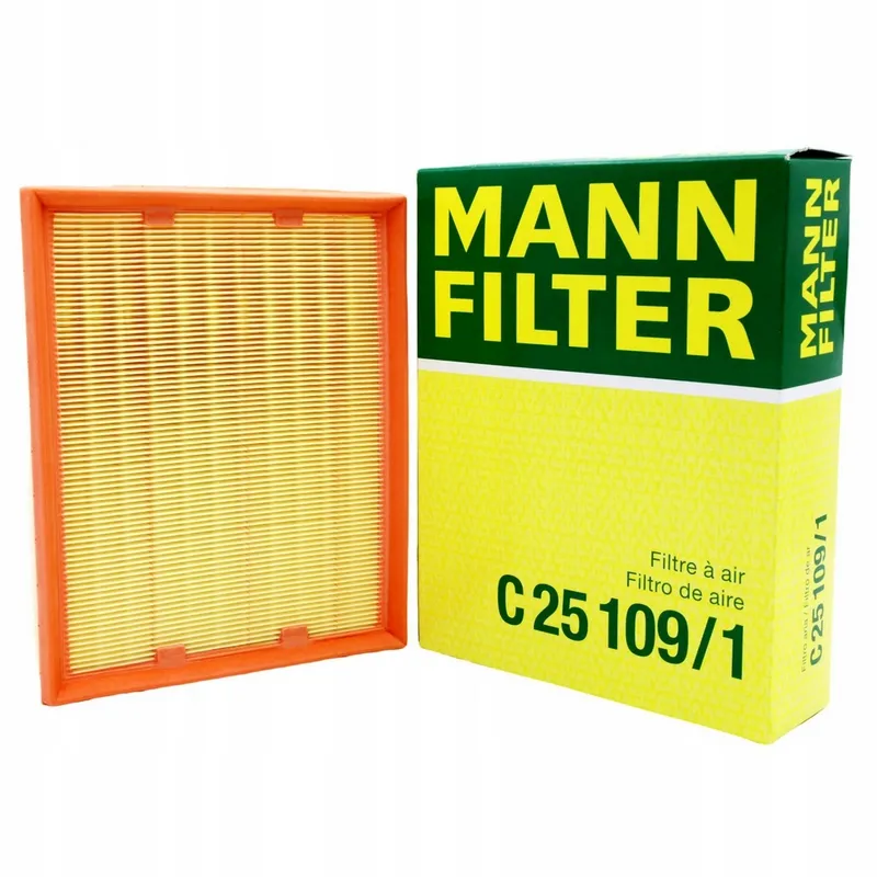 Lọc gió động cơ Mann C 25 109/1