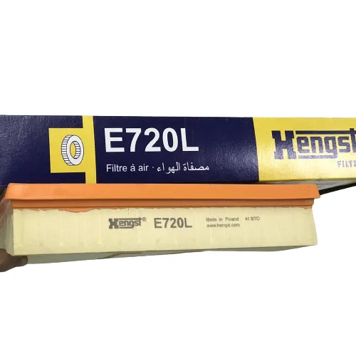 Lọc gió động cơ Hengst E720L