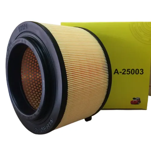 Lọc gió động cơ JS A25003