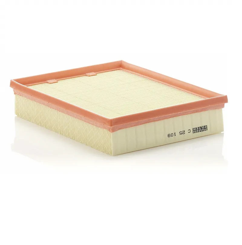 Lọc gió động cơ Mann C 25 109