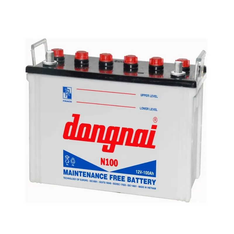Ắc quy Đồng Nai Pinaco 12V 100AH N100
