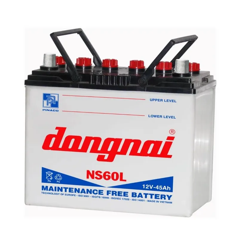 Ắc quy Đồng Nai Pinaco 12V 45AH NS60L