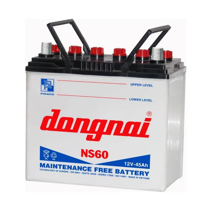 Ắc quy Đồng Nai Pinaco 12V 45AH NS60R