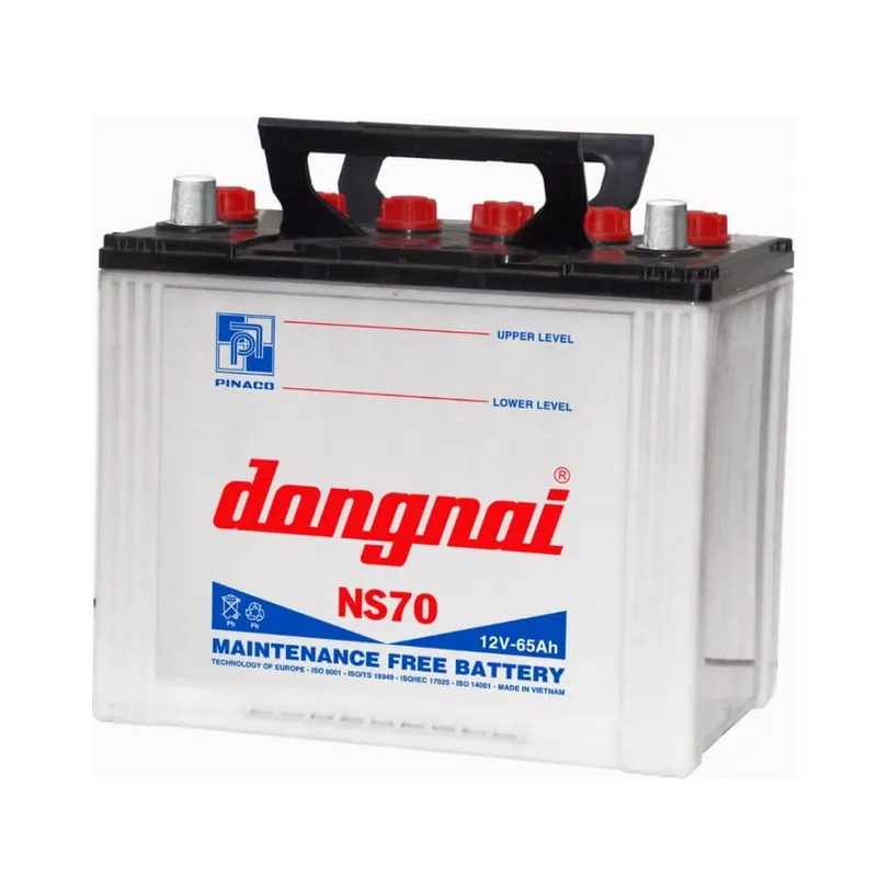 Ắc quy Đồng Nai Pinaco 12V 65AH NS70R