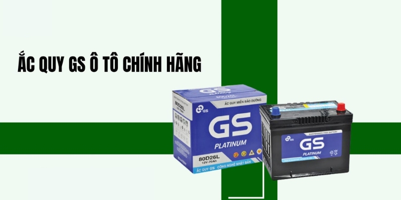 Có nhiều loại bình acquy GS đang được 1Auto.vn  phân phối hiện nay