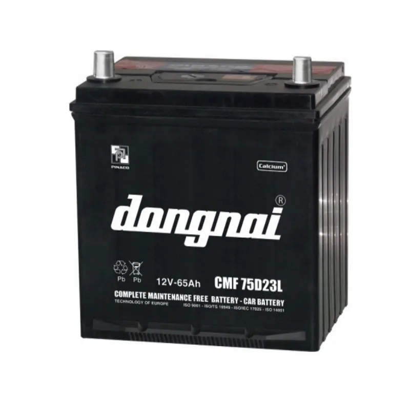 Ắc quy Đồng Nai Pinaco 12V 65AH CMF 75D23L