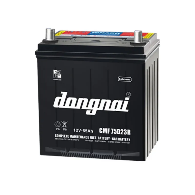 Ắc quy Đồng Nai Pinaco 12V 65AH CMF 75D23R