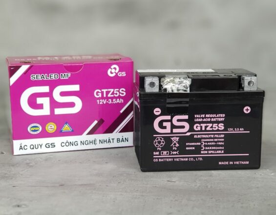 So sánh ắc quy Đồng Nai và GS: Nên chọn loại nào tốt?