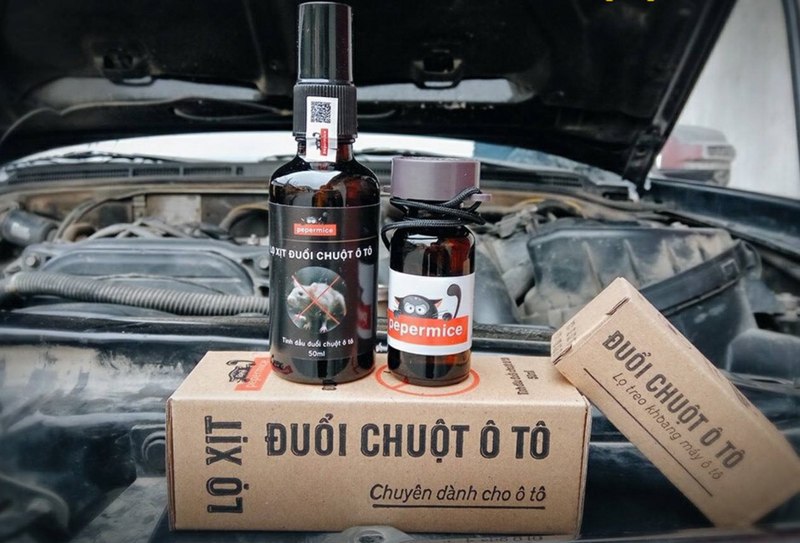 Cơ chế hoạt động của tinh dầu xua đuổi chuột