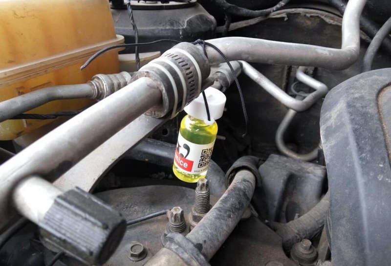 Vì sao chuột thường xâm nhập khoang máy ô tô?